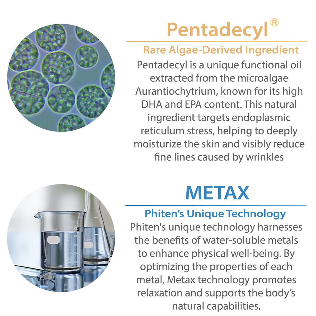 PhitenSG Metax Cream b _ Relieve, Relax, and Rejuvenate