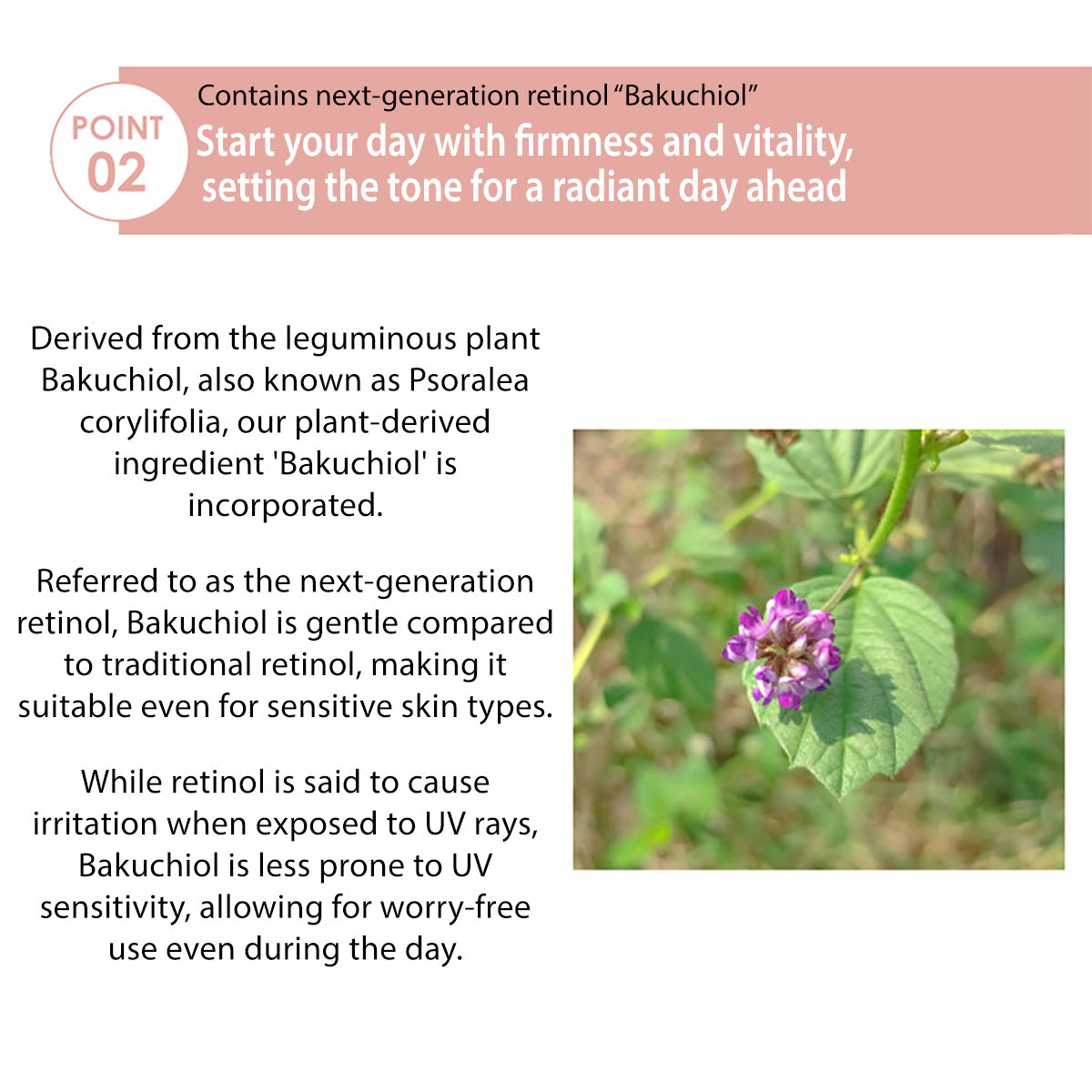 PhitenSG AquaGold Premium Lift Gel | Anti-Aging, Hydrating, Skin