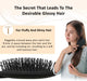 Yuko Daily Care Hair Brush Hair Care PhitenSG